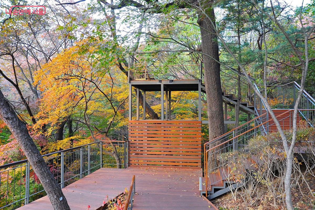 참나무 숲에 조성한 ‘참나무전망대’ ⓒ조수봉