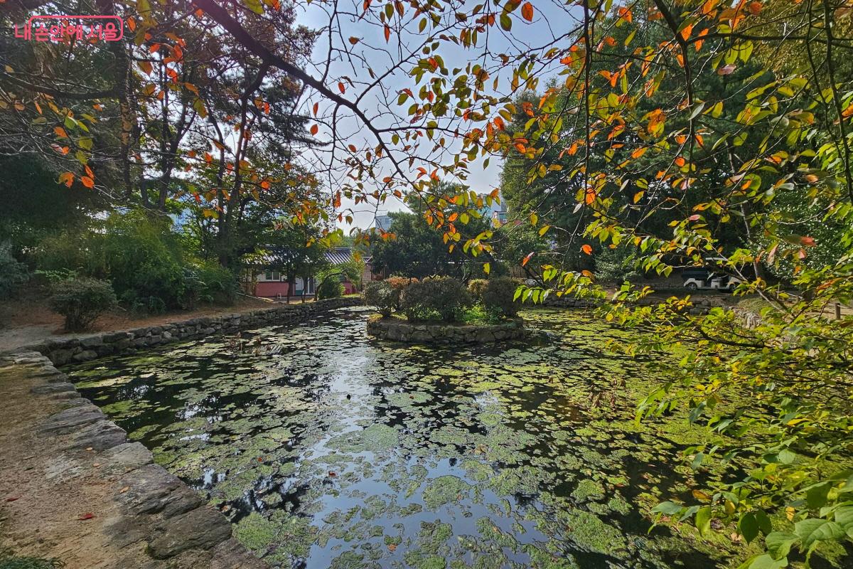 종묘에 있는 세 연못 가운데 신도 왼쪽에 자리한 하지당(下池塘) ©이선미