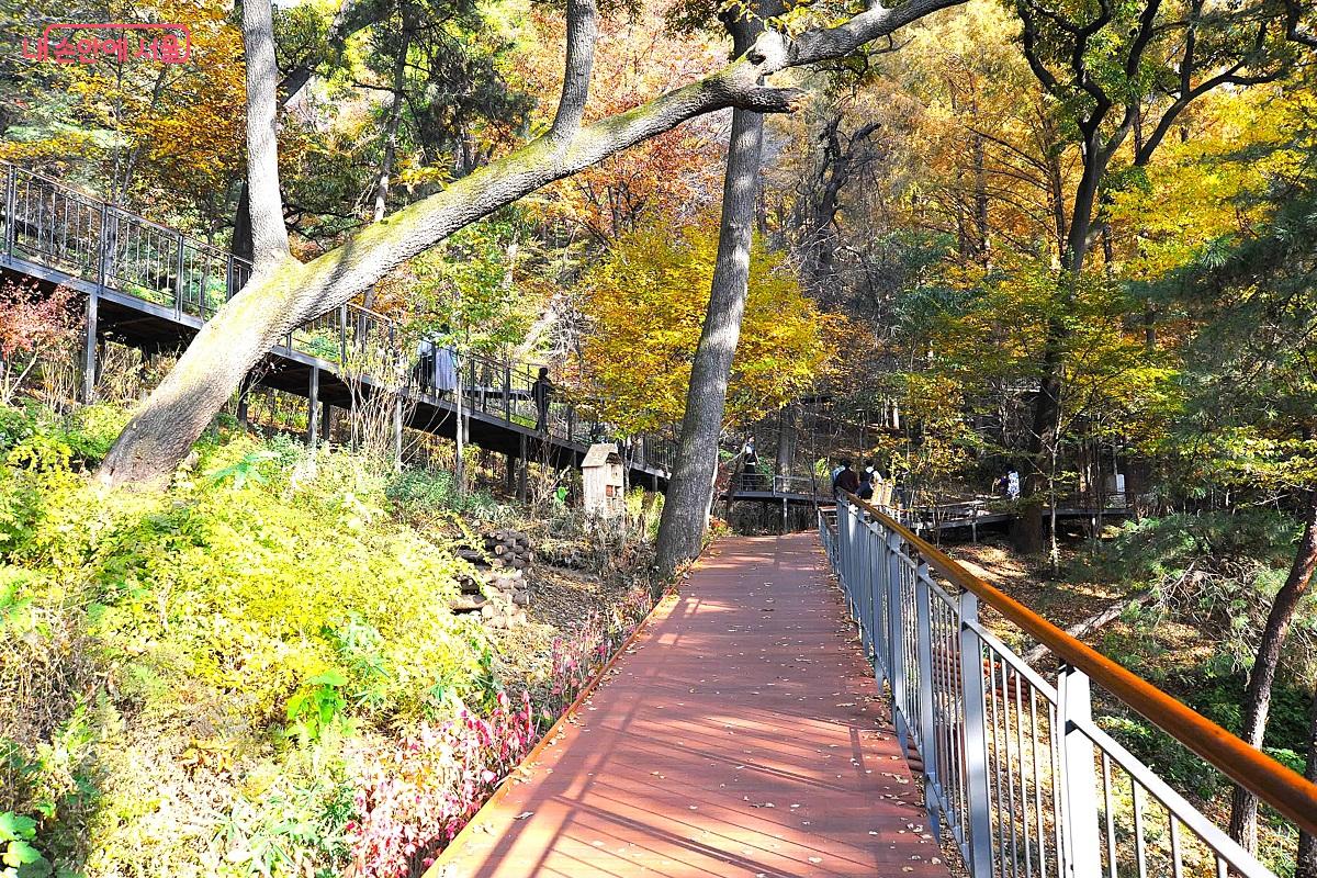 매력포인트 중 하나인 ‘새소리길’ ⓒ조수봉