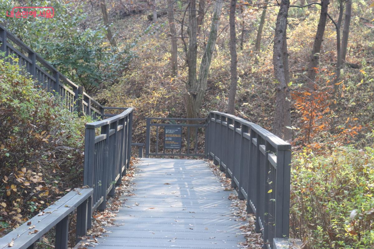 폭도 넓은 편이라 쾌적하게 이용할 수 있다. ©조송연