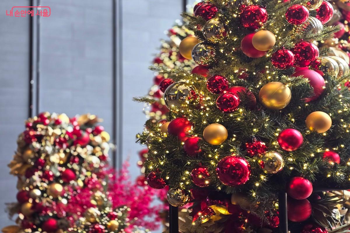 미리 크리스마스를 즐기며 연말을 훈훈하게 누려 보자. ©김은주