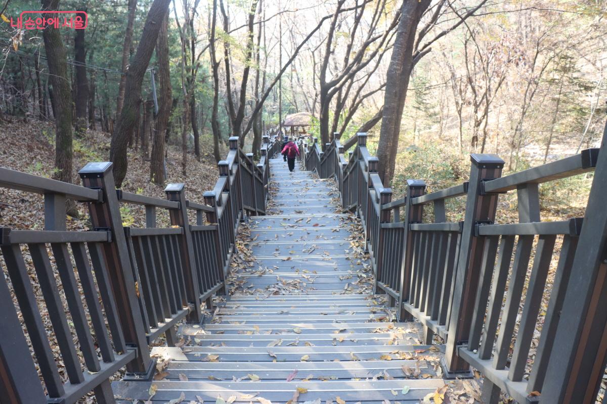 나무 계단은 폭이 넓고 난간이 양쪽에 있어 안전하게 이용할 수 있다. ©조송연