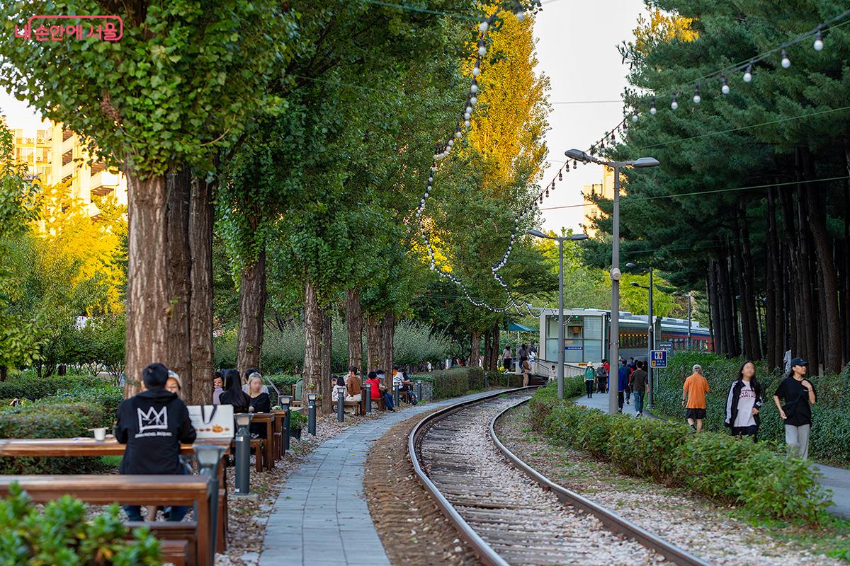 경춘선숲길에 무궁화호 객차 2량을 고쳐 만든 카페가 생겼다. ©문청야