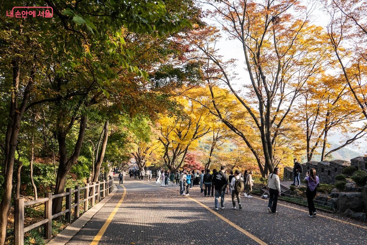 남산공원길의 가을 풍경이 아름답다. &copy;이진형