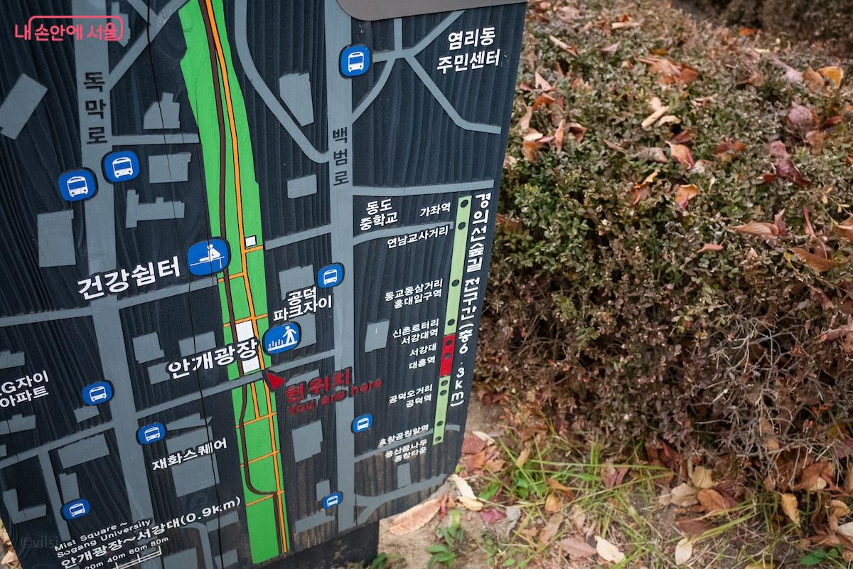 금속이 아닌 목재를 사용해 제작한 현위치 안내도가 숲길과 조화를 이룬다. &copy;이진형