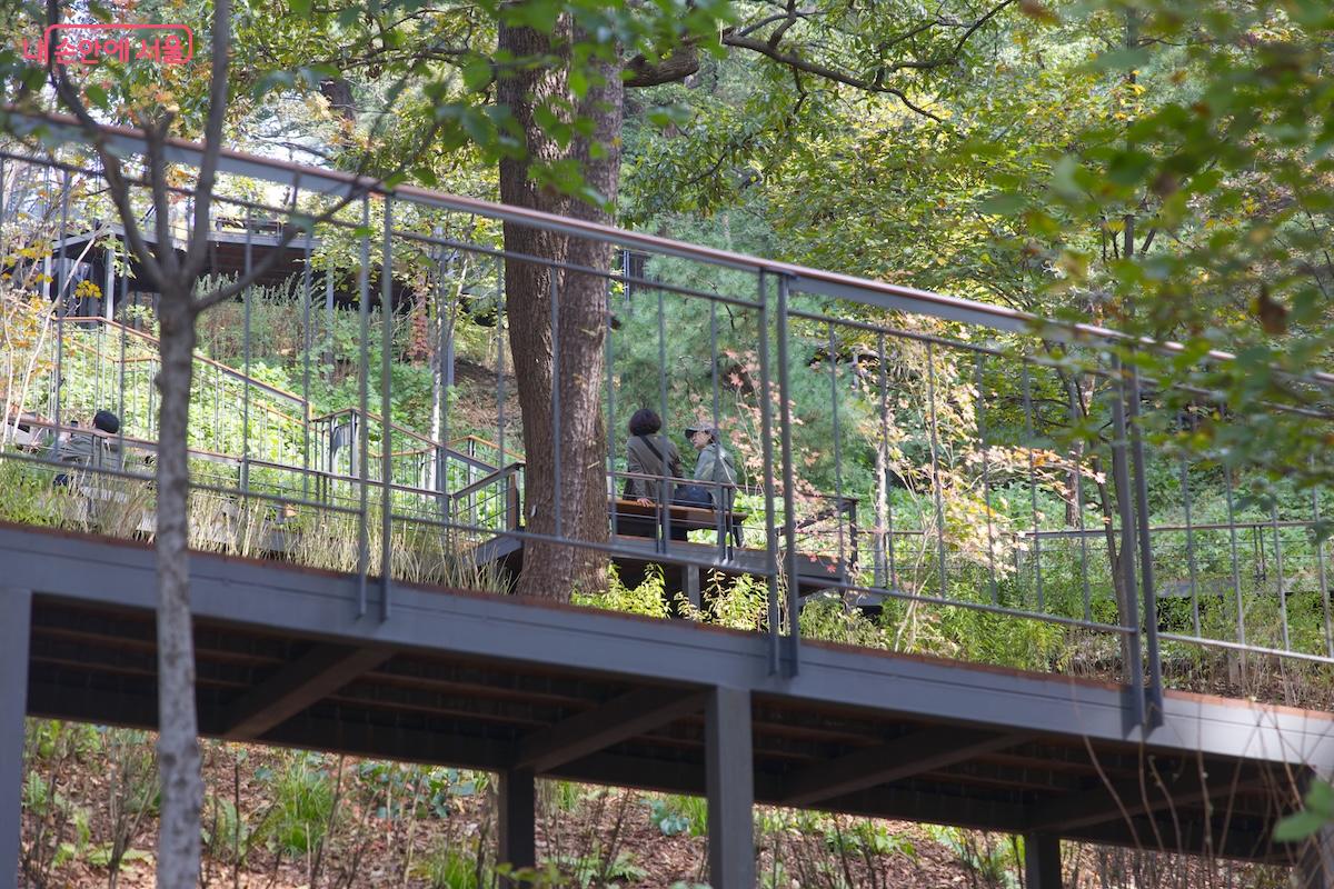 화창한 가을 날씨와 함께 많은 시민들과 관광객들이 남산 하늘숲길을 찾고 있다. &copy;임중빈