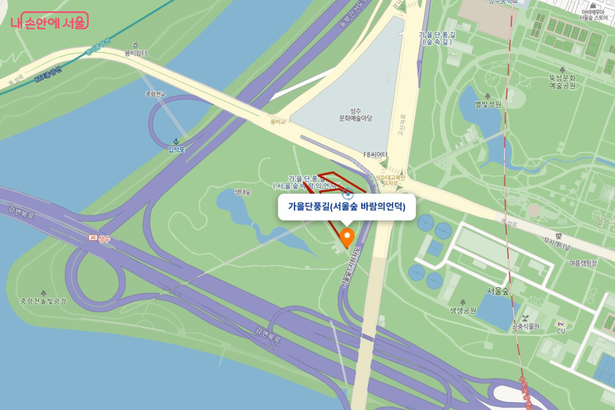 서울시 지도 위에 '가을단풍길(서울숲 바람의언덕)'이라는 말풍선과 위치 표시가 되어 있다. 강변북로와 인접한 서울숲 북쪽 끝자락에 위치해 있음을 보여주며, 주변의 생태숲과 성수대교 북단 교차로가 함께 표시되어 있다. ©스마트서울맵