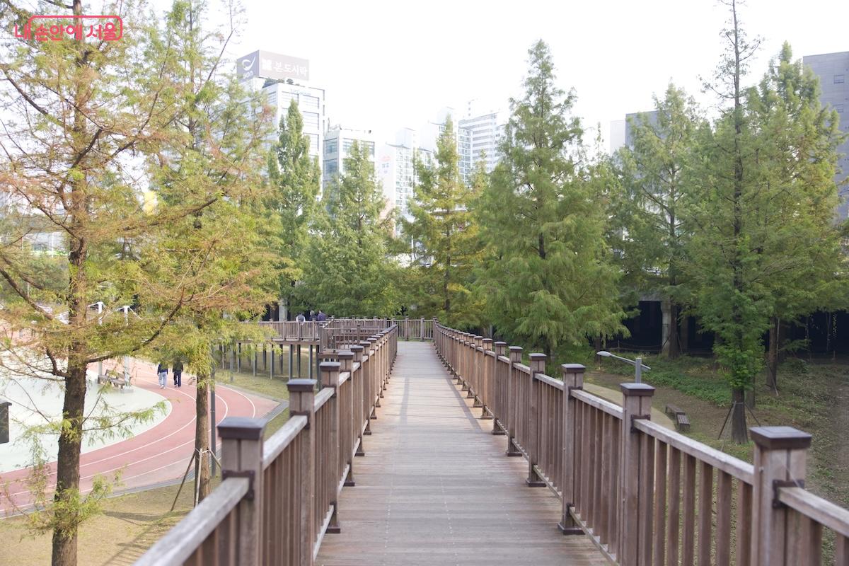 가을의 정취를 만끽하며 걷기 좋은 공원이다. ©임중빈