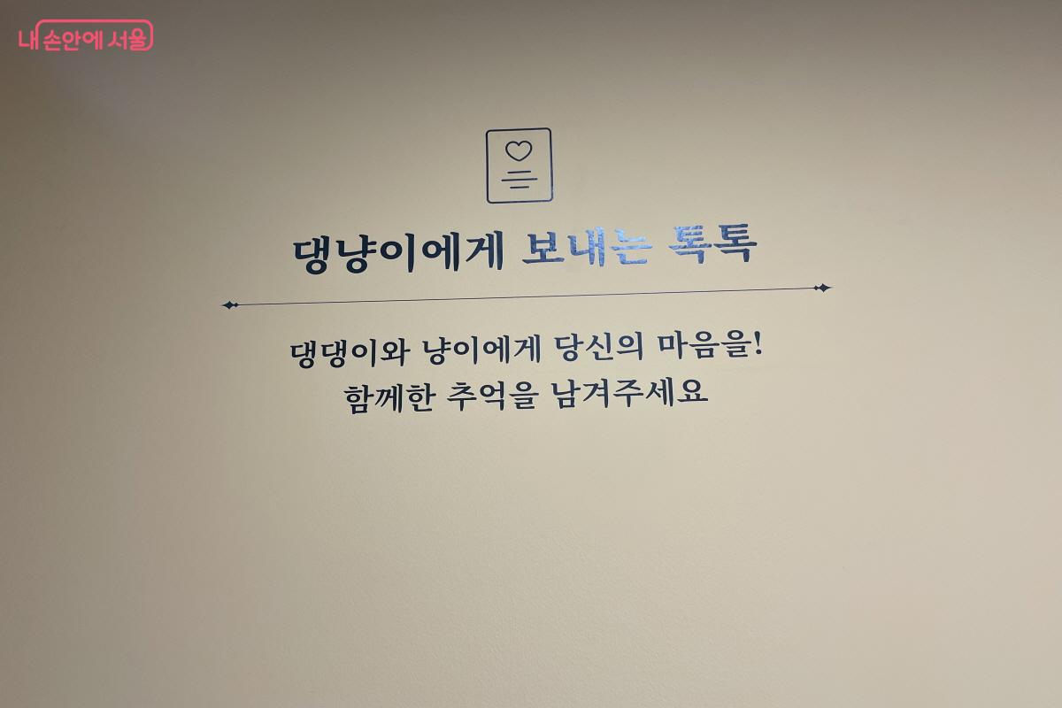 캐리어 지참 시 반려동물과 동반 입장이 가능한 이번 전시에서 마련한 ‘댕냥이에게 보내는 톡톡’ 코너 ©이정민