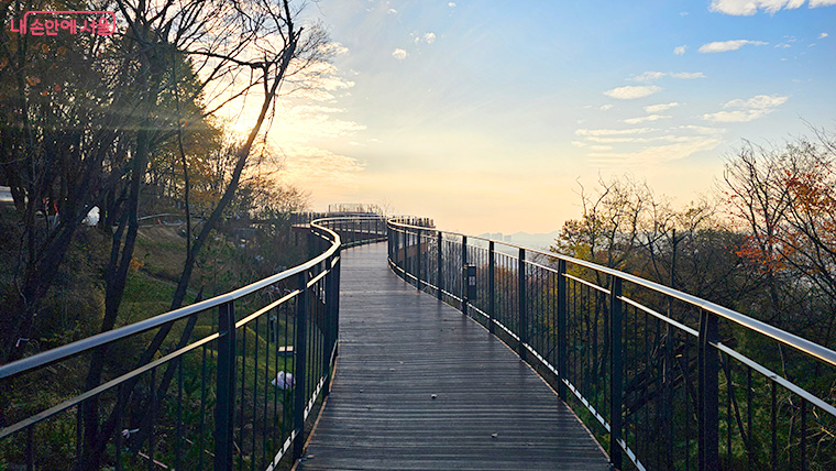스카이워크는 숲 위를 가로지르는 목재데크 산책로로 구성되어 있다. 