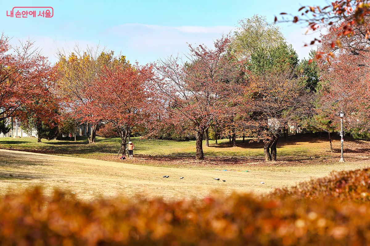 어린이대공원 구의문으로 진입하면 넓은 잔디광장과 단풍을 볼 수 있다 ©김주연