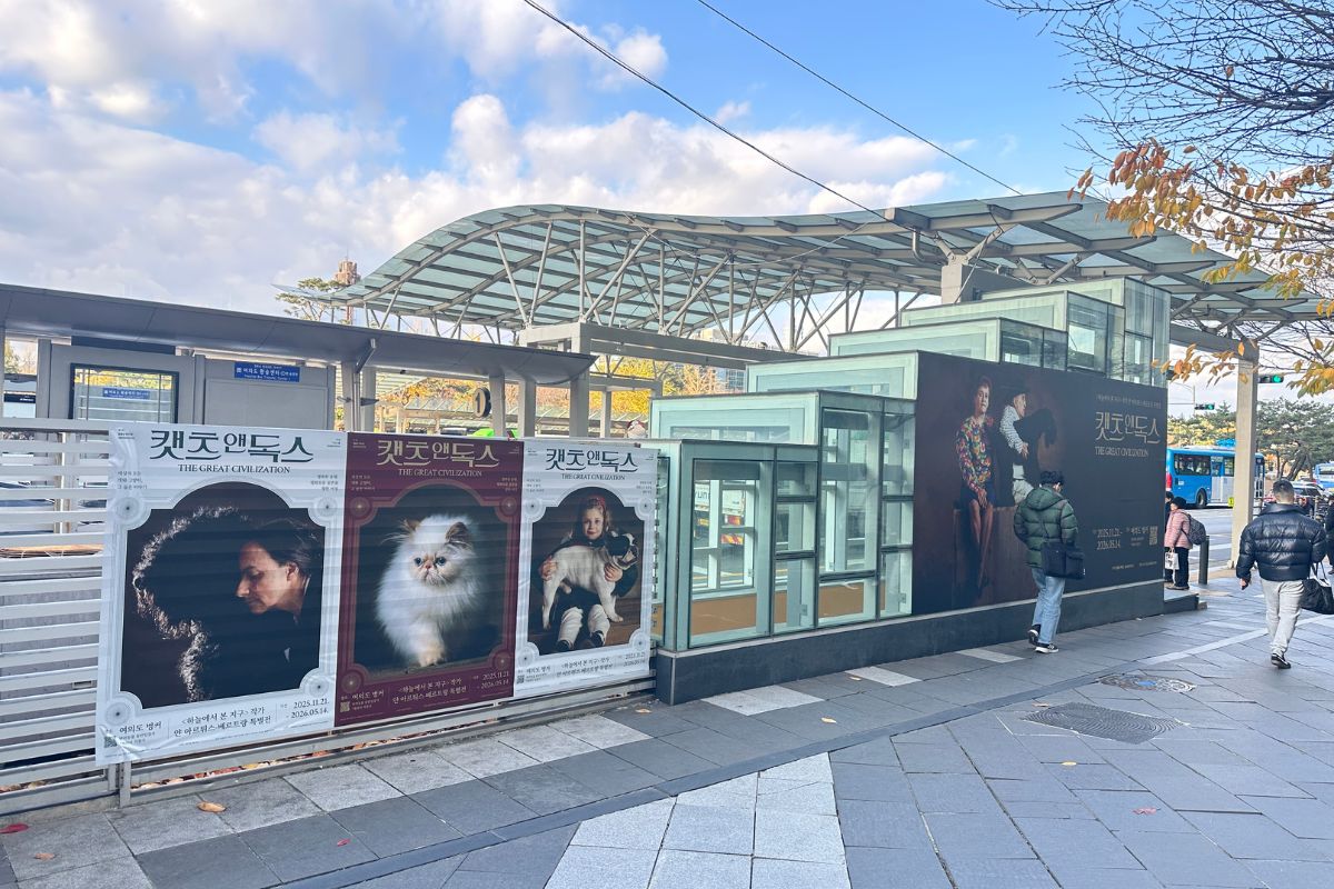 반려동물과 특별한 외출, '여의도 지하벙커+IFC몰' 원데이 코스!