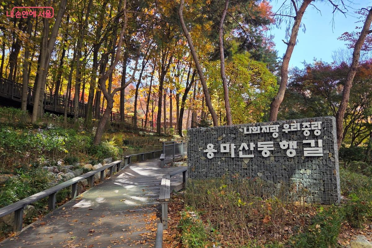 무장애 산책로인 용마산 동행길을 이용할 수 있다. ©김미선