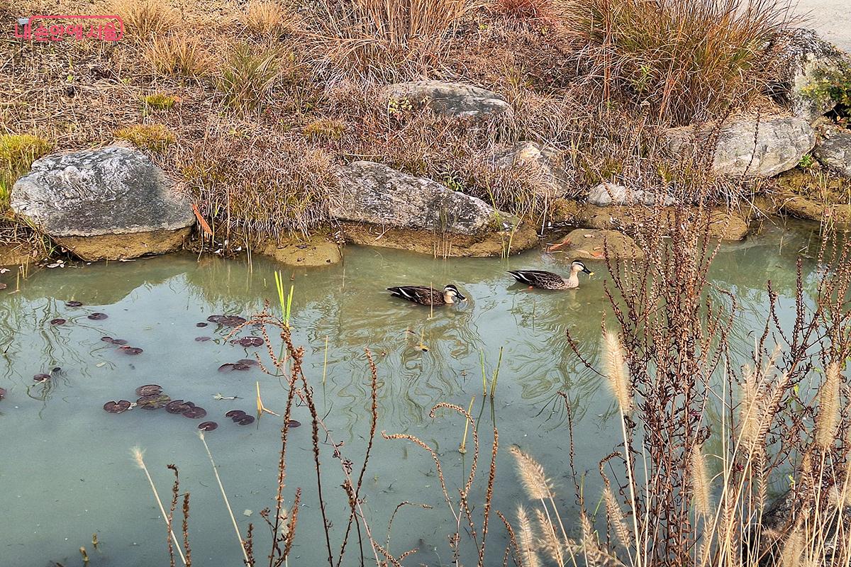 자연의 품에 안겨 지친 마음 어루만지는 치유의 정원, 고요 속 평화를 선사한다. ©정향선