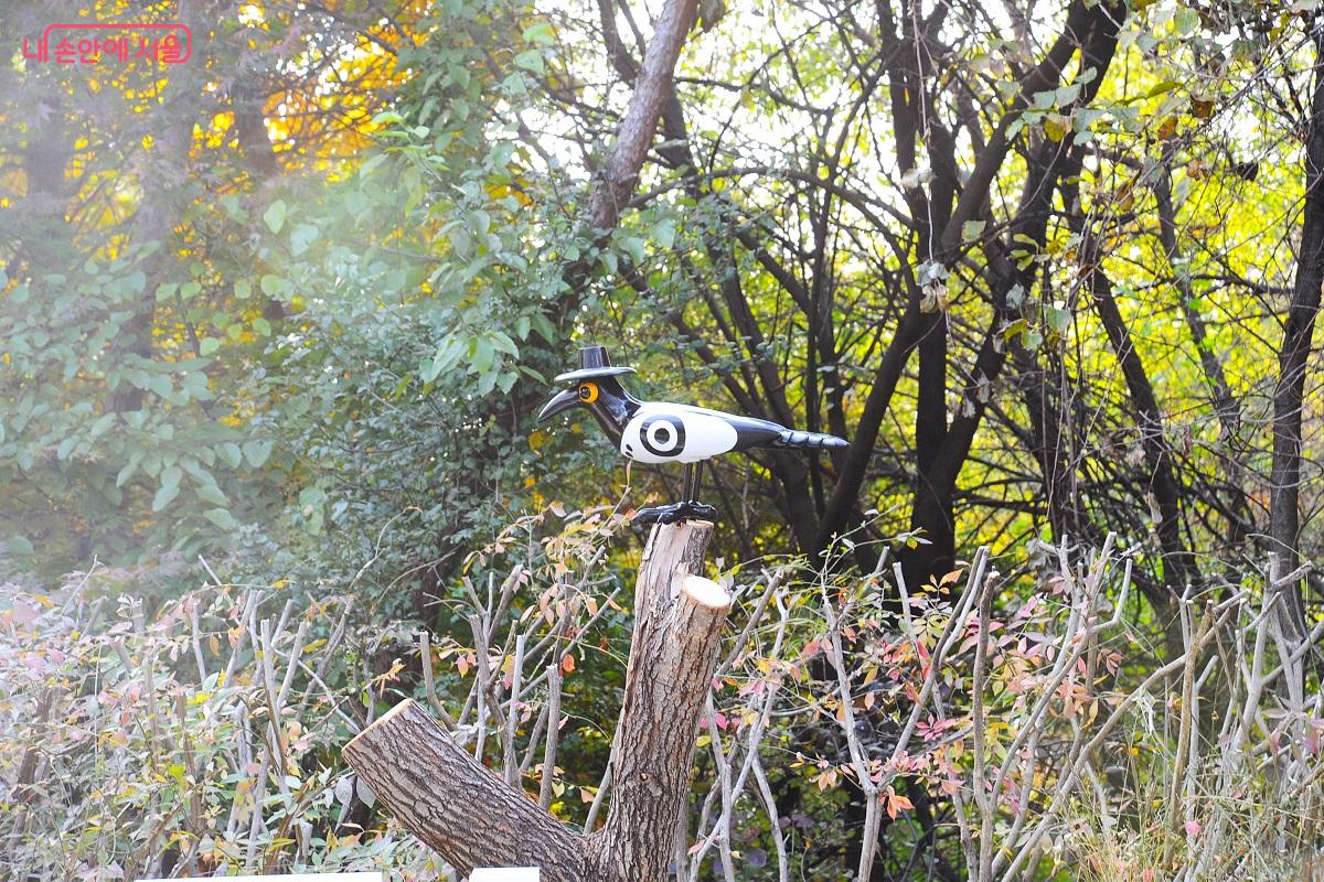 ‘케데헌’의 까치 ‘서씨’가 ‘건강정원’을 지키고 있다. ⓒ조수봉