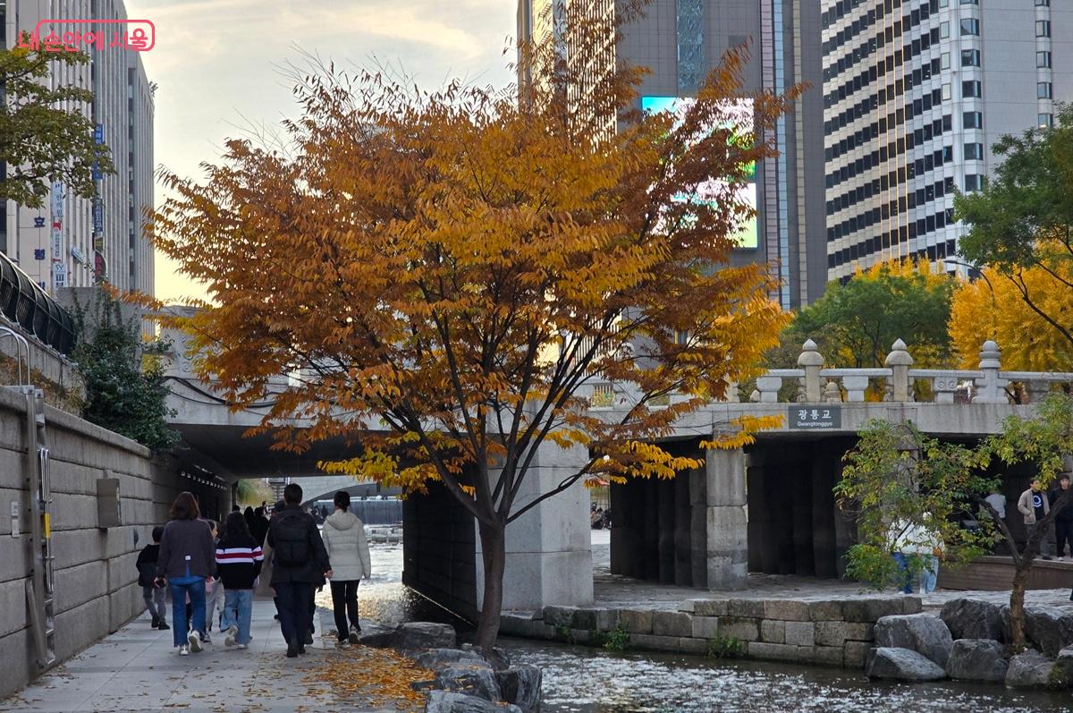 &lsquo;청계공존 도슨트 프로그램&rsquo; 마무리를 위해 처음 장소로 돌아가는 아이들과 부모님 뒷모습 &copy;조성희