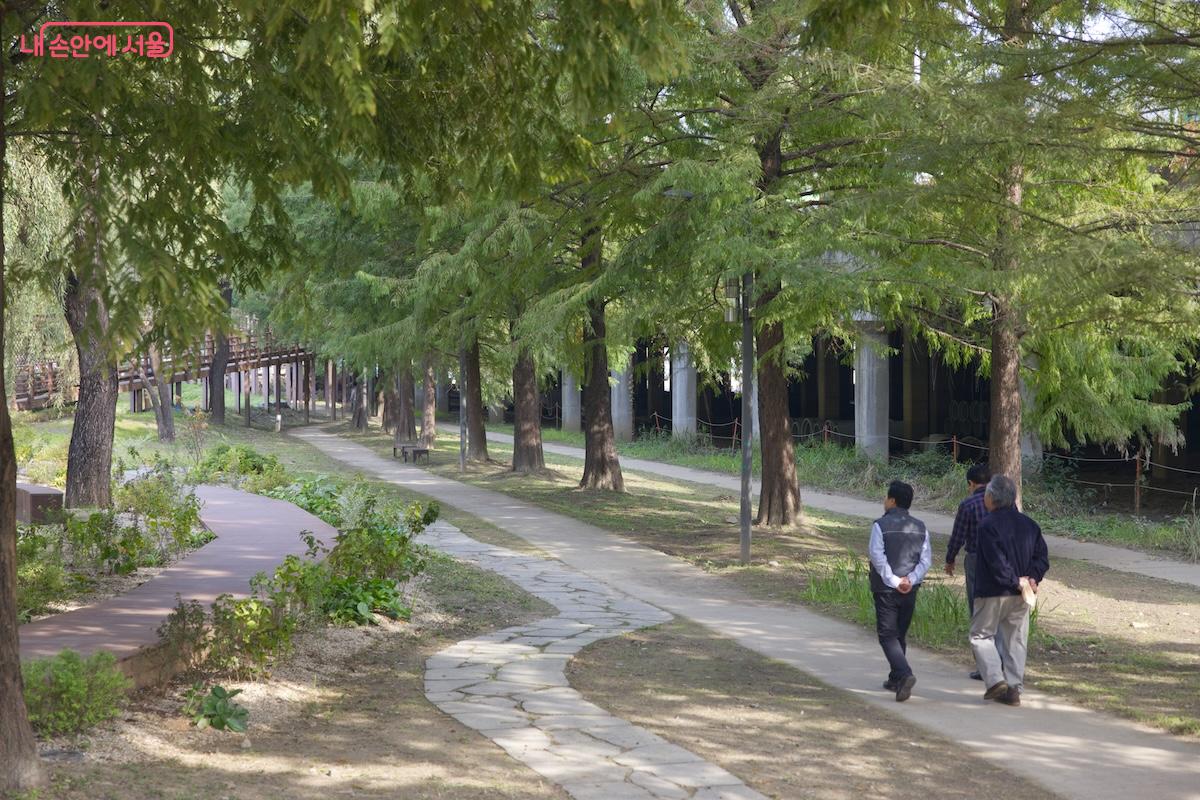 이곳이 본래 유수지였다는 사실이 무색할 만큼 아늑하고 평화롭다. ©임중빈