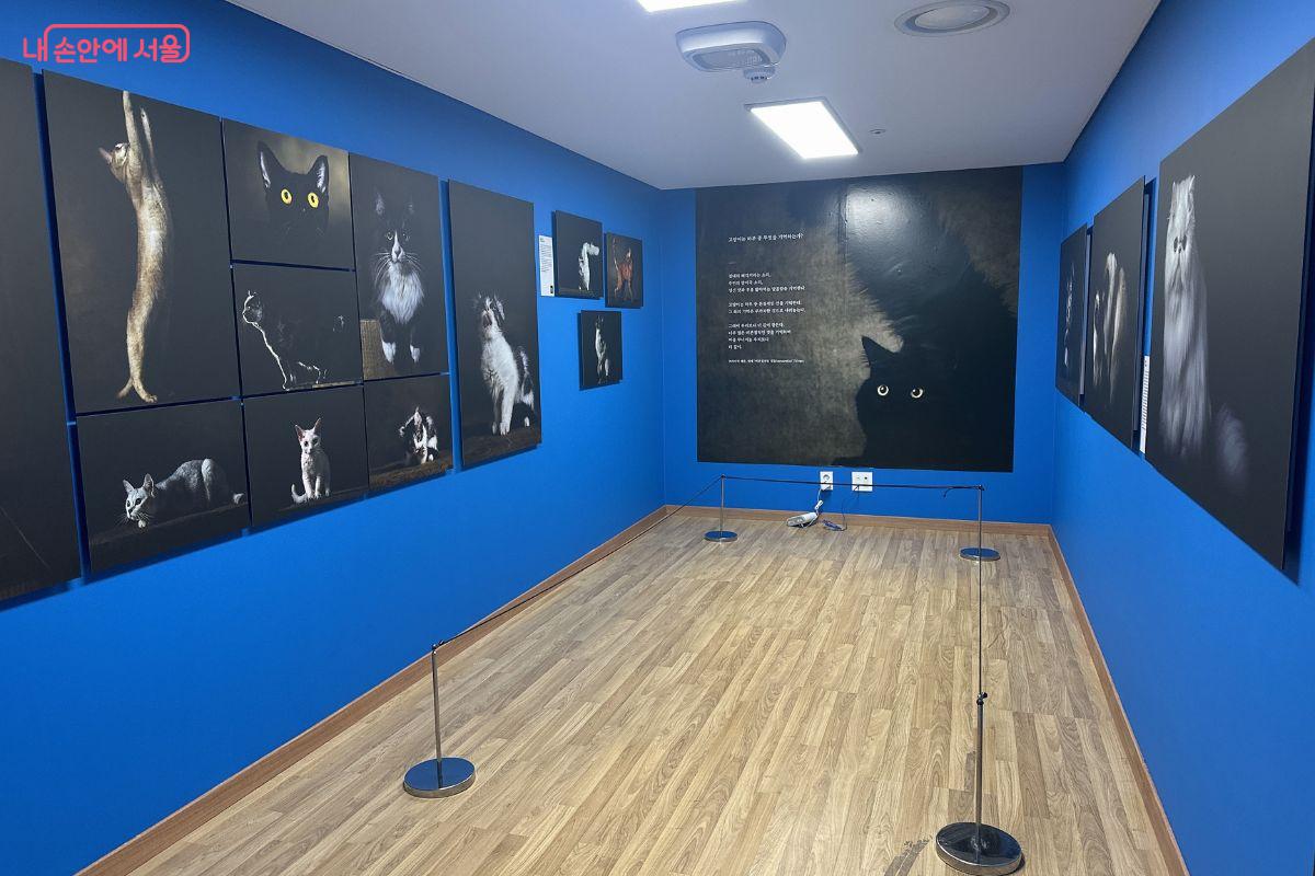 오래된 구조물이 현대적 콘텐츠와 만나 새로운 문화 공간을 제공한다. ©김재형