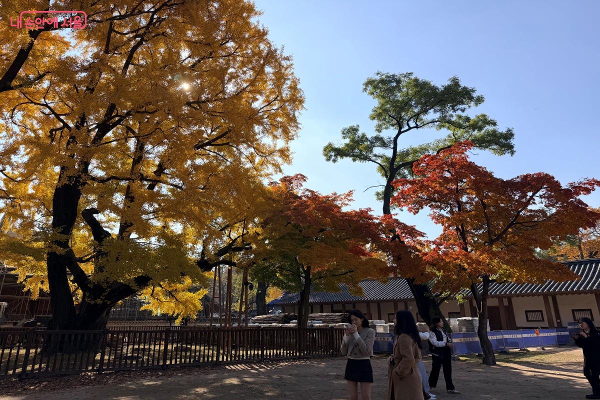 365서울챌린지 덕분에 외로움은 줄어들고 활기찬 하루를 보낼 수 있게 된다.