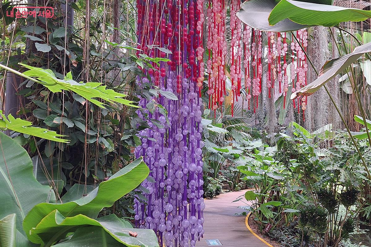 최성임 작가의 <활착 外>는 싱그러운 식물들로 가득한 온실 속에 불시착한 듯한 이색적인 설치물이다. ©정향선