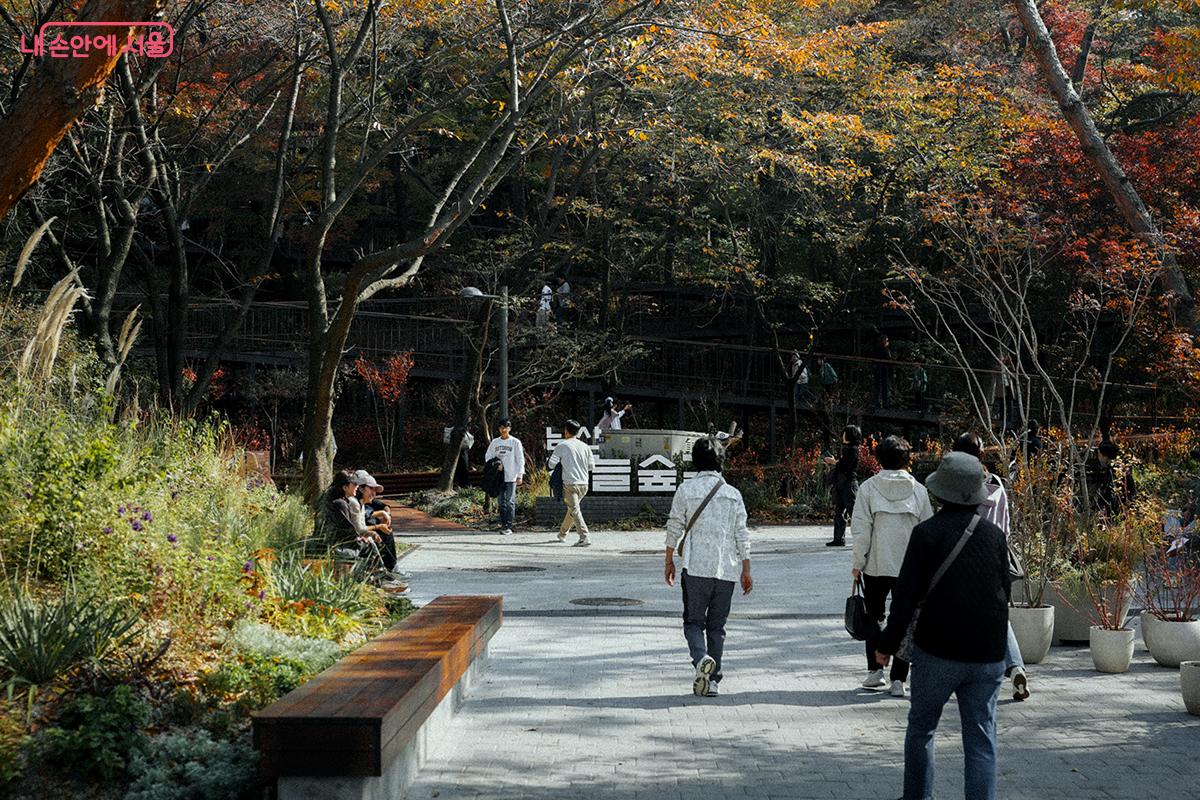 ‘남산 하늘숲길’ 끝에는 시인 김소월의 시 <산유화>에서 영감을 받아 조성된 ‘소월정원’이 있으며, 인근에는 남산도서관이 자리하고 있다. ©김아름