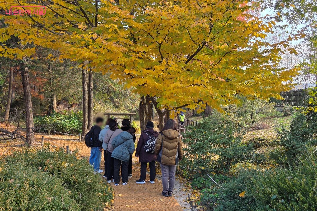 침엽수원에서 상쾌한 공기를 마시며 숲길을 걸으며 해설을 들었다. ⓒ김미선