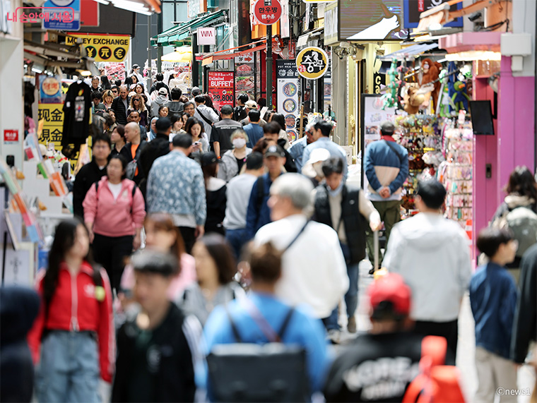 브로콜리 지역정보 관련 사진 2