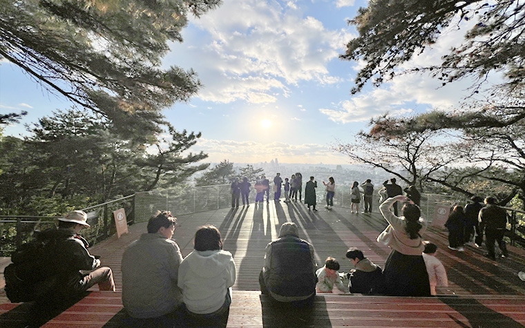 남산에서 걷고 쉬고 힐링하기! 'N서울타워~정원체험~하늘숲길'