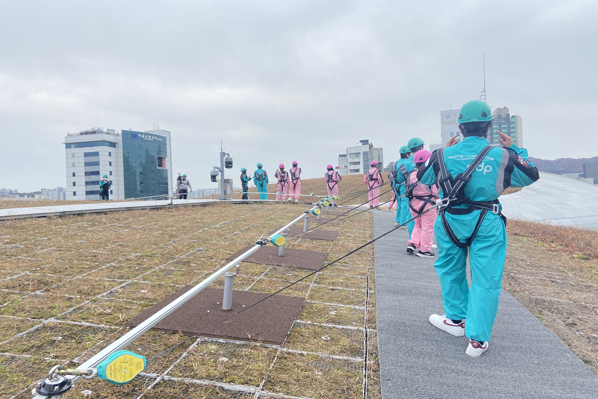 서울을 유영하는 기분! 요즘 핫한 체험  'DDP 루프탑 투어'