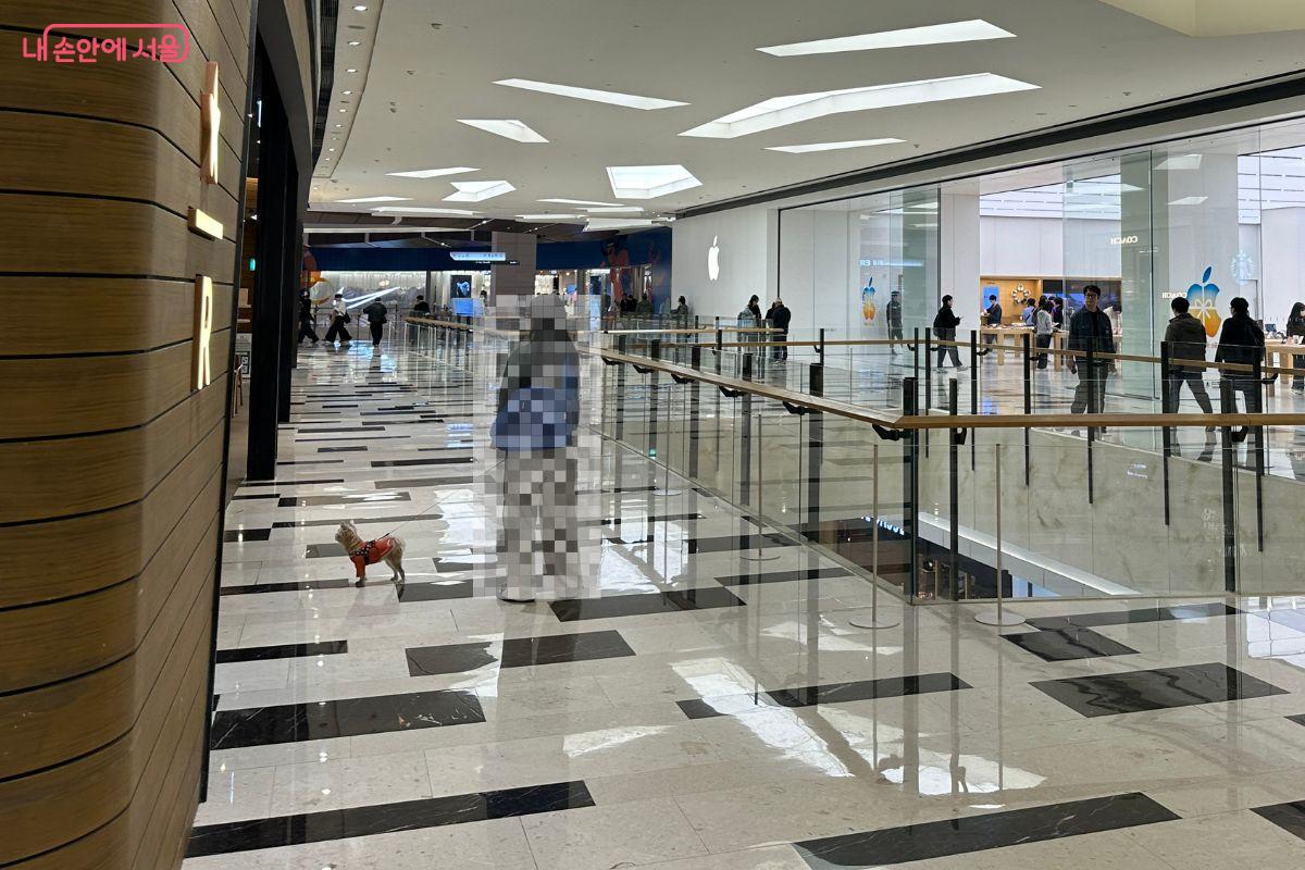 반려동물과 쇼핑몰을 찾은 시민들을 볼 수 있다. ©김재형