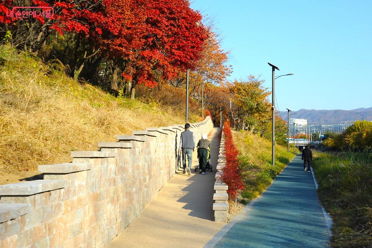 제방 산책로와 천변 산책로를 연결하는 무장애길도 조성됐다. ⓒ조수봉