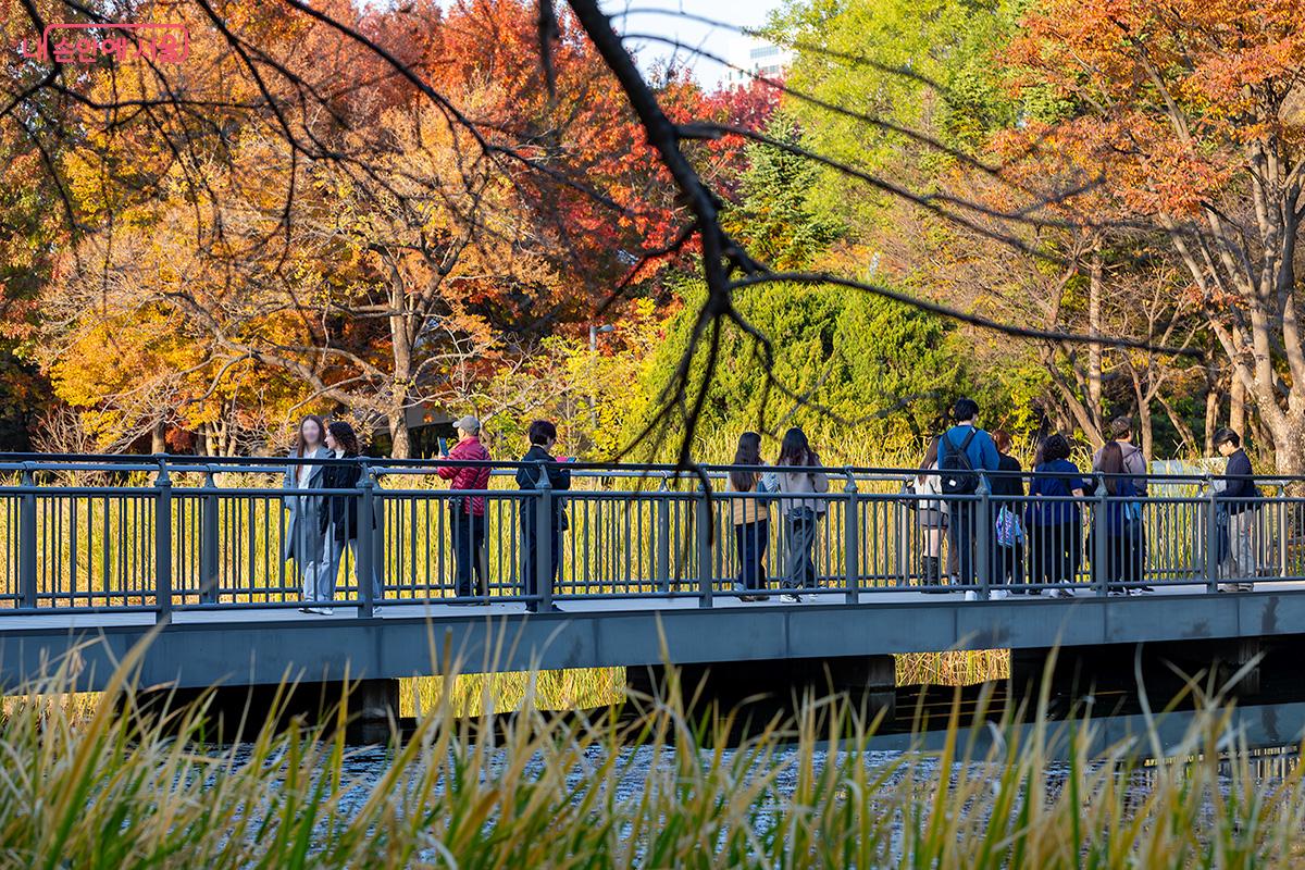 늦가을 정취가 물씬 풍기는 서울숲, 시민들이 중앙호수 다리 위를 걷고 있다. ©문청야
