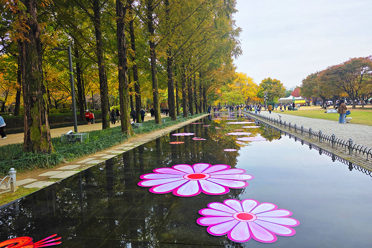 요가하고 단풍샷 찰칵! 낭만 가득 정원축제 '스무살의 서울숲'