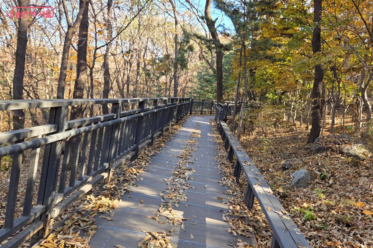 남녀노소 누구나 편리하게 이용할 수 있는 무장애숲길이다. ©김미선