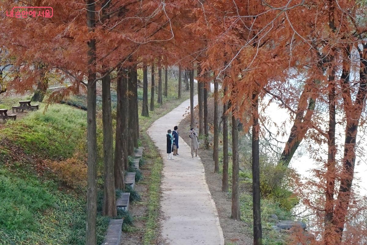 호수 둘레길에 이어지는 산책로 &copy;김종성