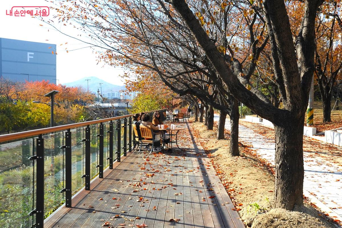 수변감성공원 잔디마당 앞에 조성된 전망데크 ⓒ조수봉