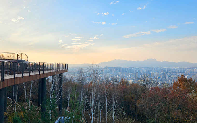 360도 파노라마 단풍뷰! 용마산 스카이워크 전망대 개장