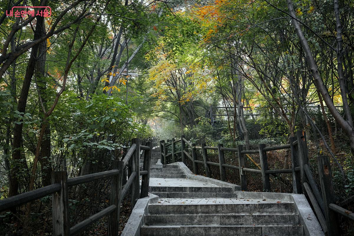 남산공원 4번 입구를 통해 '남산공원길'로 진입하게 된다.©김아름