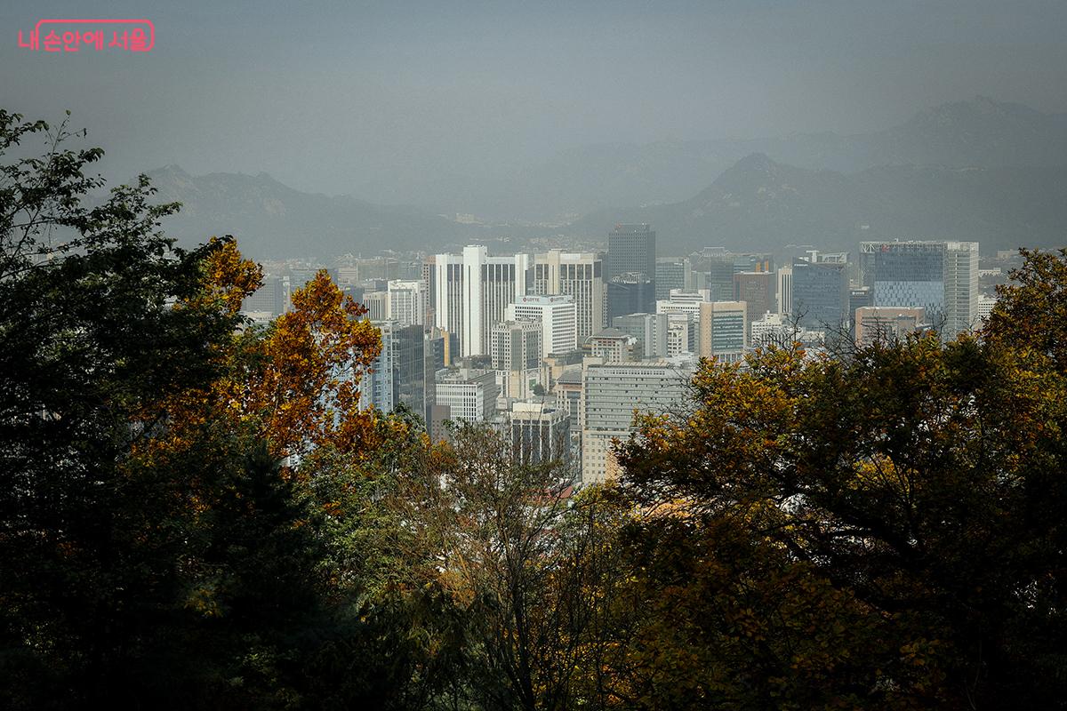남산 북측숲길의 '시티뷰 전망쉼터'에서 바라본 서울 전경 ©김아름