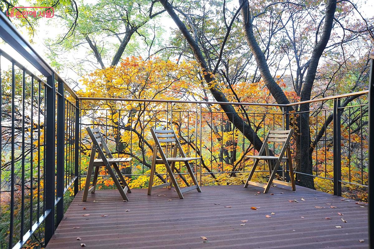 ‘참나무전망대’는 조망포인트 겸 사진 찍기 위해 줄을 서는 포토존이다. ⓒ조수봉