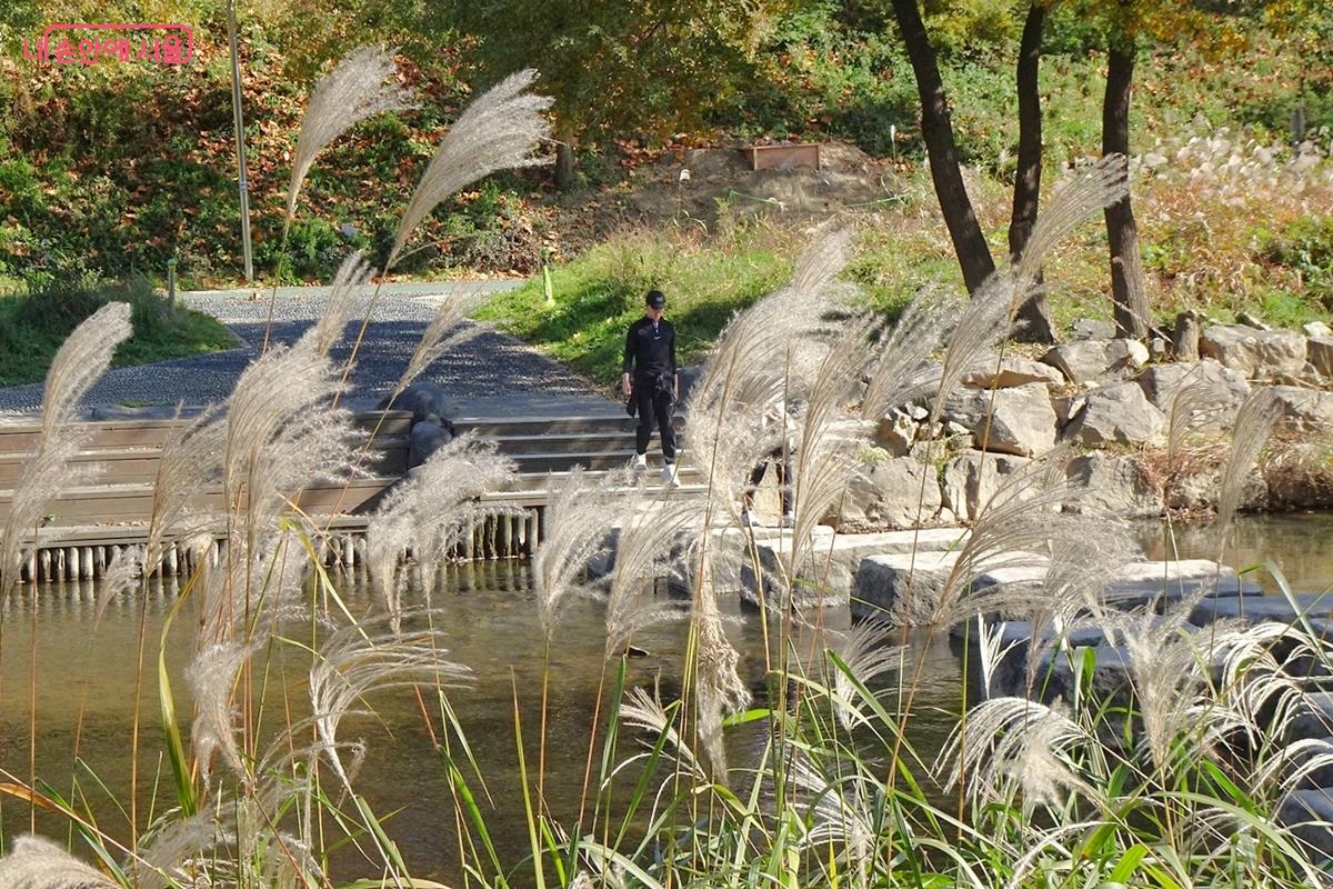 시골 냇가처럼 정겨운 양재천 상류 ⓒ김종성