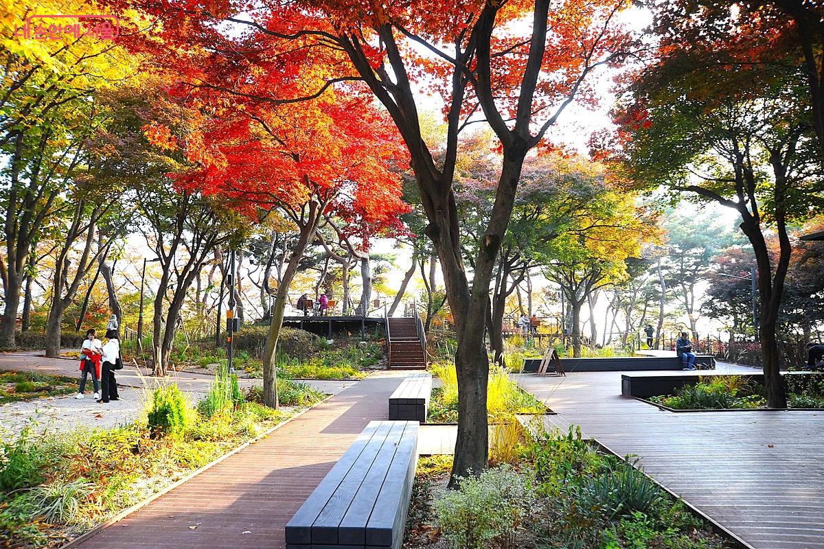 체력단련장 인근에 조성된 ‘건강정원’은 하늘숲길의 시작점이자 매력포인트이다. ©조수봉