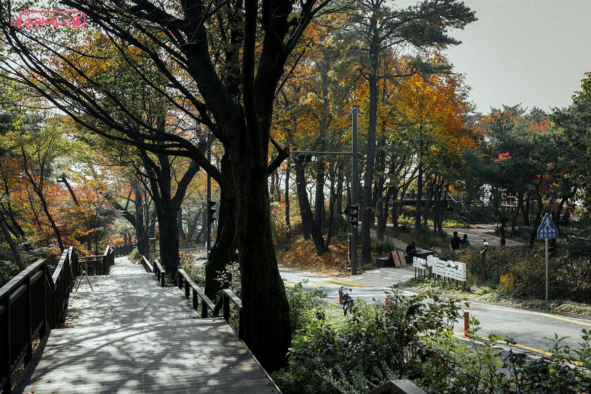 남산 연결안전데크와 남산 하늘숲길은 짧은 횡단보도로 연결되어 있다. ©김아름