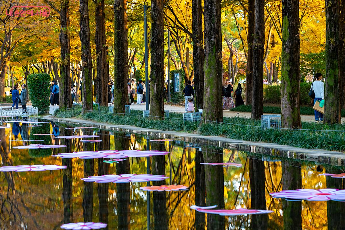 서울숲 거울연못 플라워 포토존에서 시민들이 형형색색의 꽃 장식과 단풍 사이를 거닐며 가을의 낭만을 즐기고 있다. ©문청야