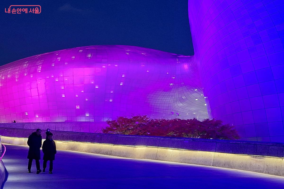 &lsquo;365 DDP 빛의 랜드마크&rsquo;를 목표로 기획된 야간 프로젝트다. &copy;백승훈