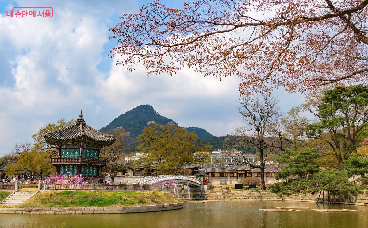 단풍나무가 붉은 잎을 막 펼치려고 하고 있는 향원정 모습 ©박성환