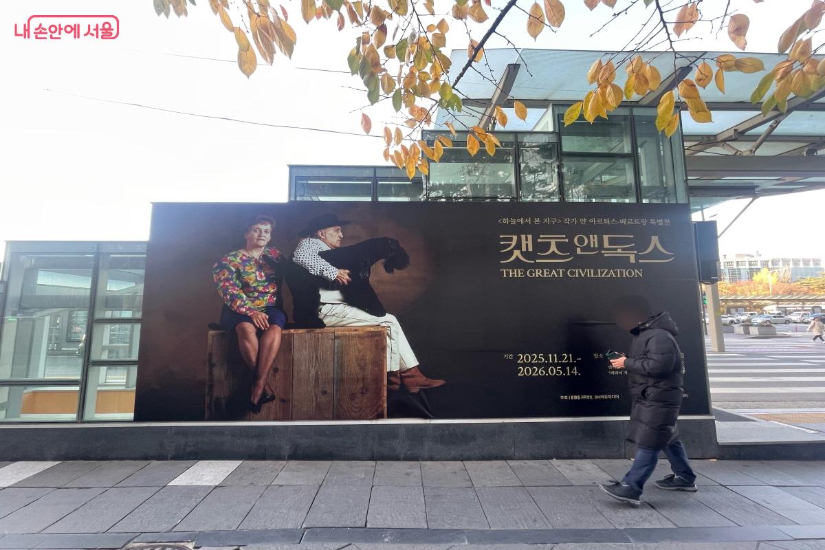 <캣츠 앤 독스> 전시가 열리고 있는 여의도 지하벙커 ©이정민