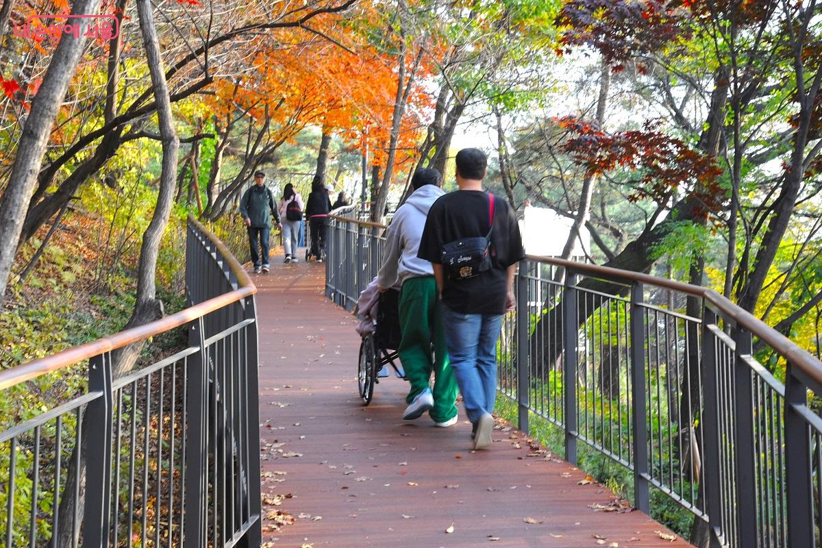 휠체어도 불편함 없이 하늘숲길을 오를 수 있다. ⓒ조수봉
