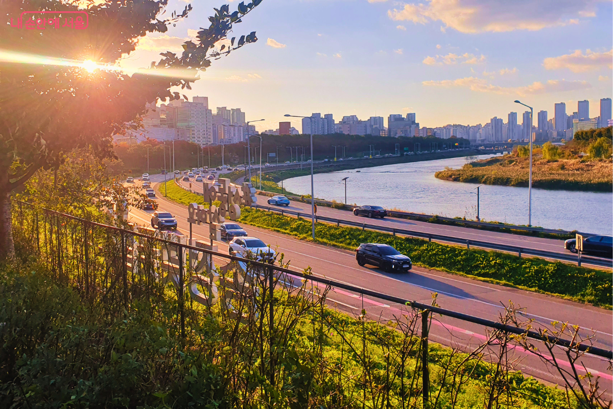 송정제방길에서 바라본 중랑천과 동부간선도로의 풍경. 해 질 녘 노을빛이 강물에 반사되고, 제방길의 단풍나무와 강 건너편 도심의 아파트 빌딩 숲이 어우러져 아름다운 수변 경관을 만들어낸다. ©양정화
