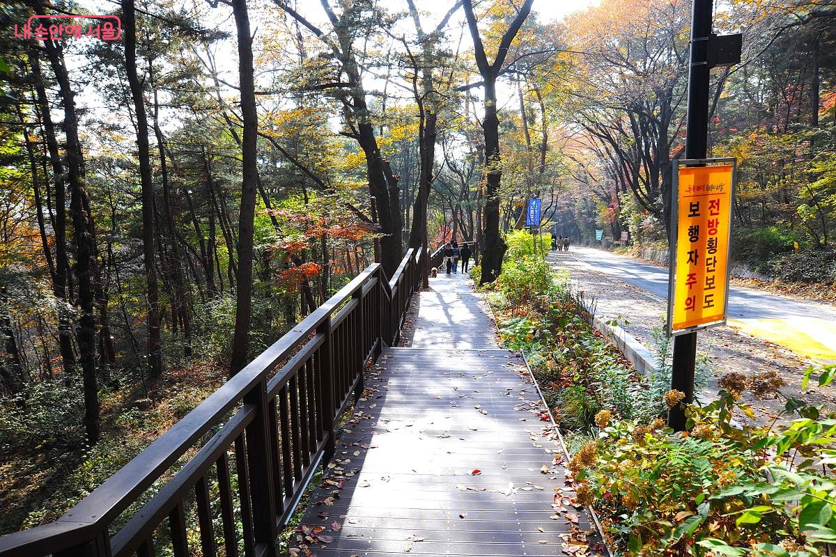 ‘남산연결안전데크’는 남측순환로와 매력정원을 사이에 두고 설치됐다. ⓒ조수봉